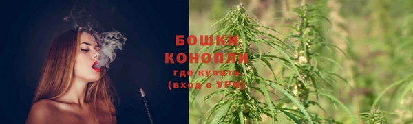 трава Магадан