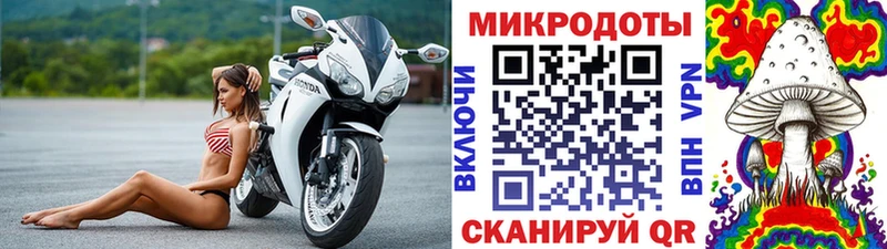 Купить где  Завитинск  Галлюциногенные грибы Psilocybine cubensis 